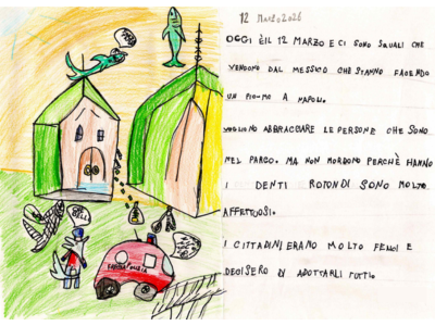 squali messicani (1) squali messicani (1)