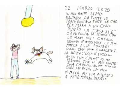gatto gatto