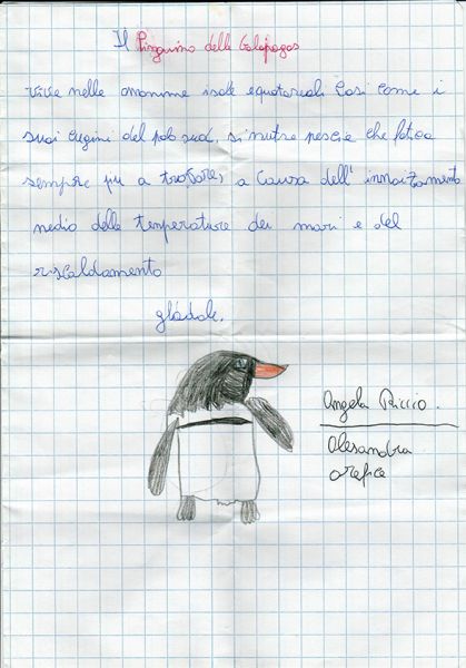 pinguino_galapagos
