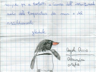 pinguino_galapagos