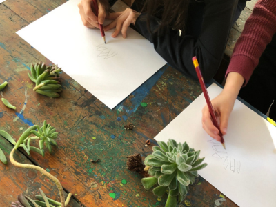 immagini BARRITO (1)