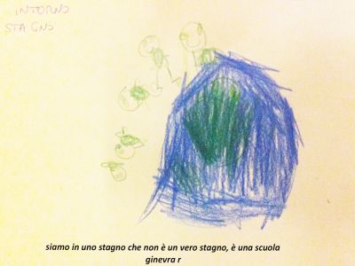 rane allo stagno gr